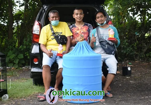 Om Robby Tengah Sukses Kawal Murai Batu Dewa Judi.