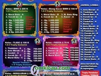Tledekan Fiesta 2