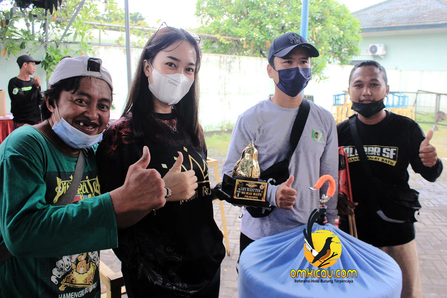Dumbo Koncer A Sesi Prasasti