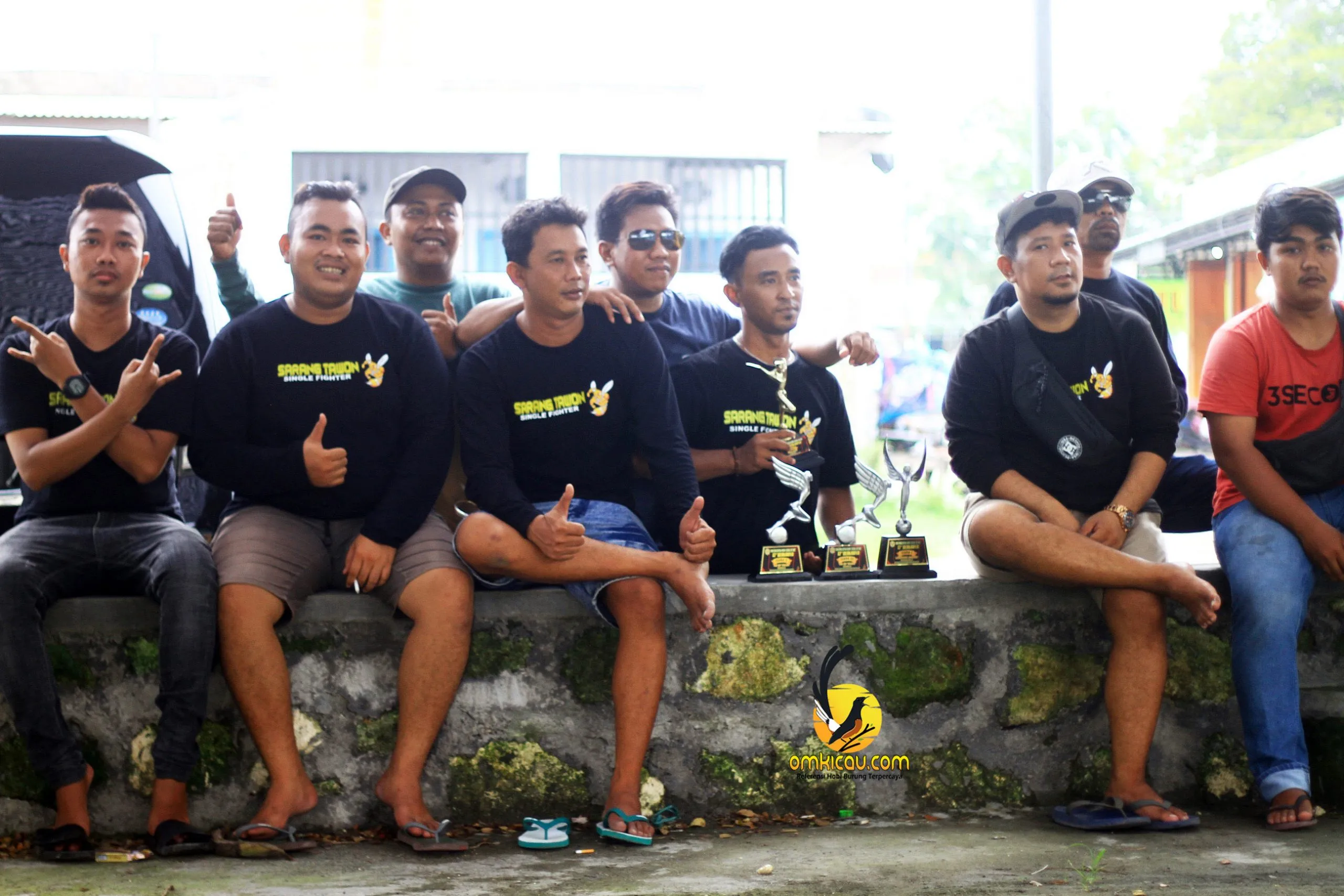 Sarang Tawon SF Scaled