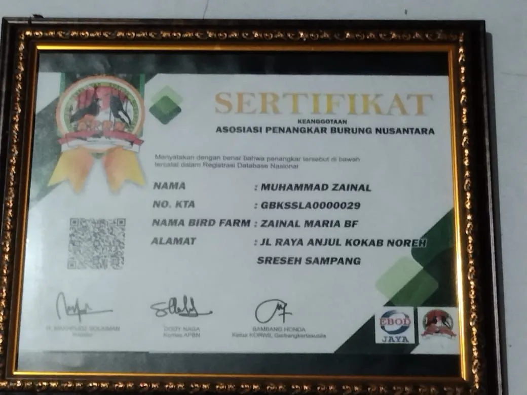 IMG 20221018 WA0002