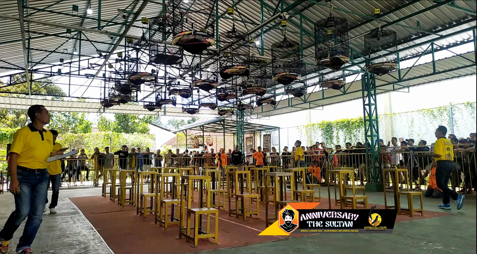 Penjurian Kelas Murai Batu