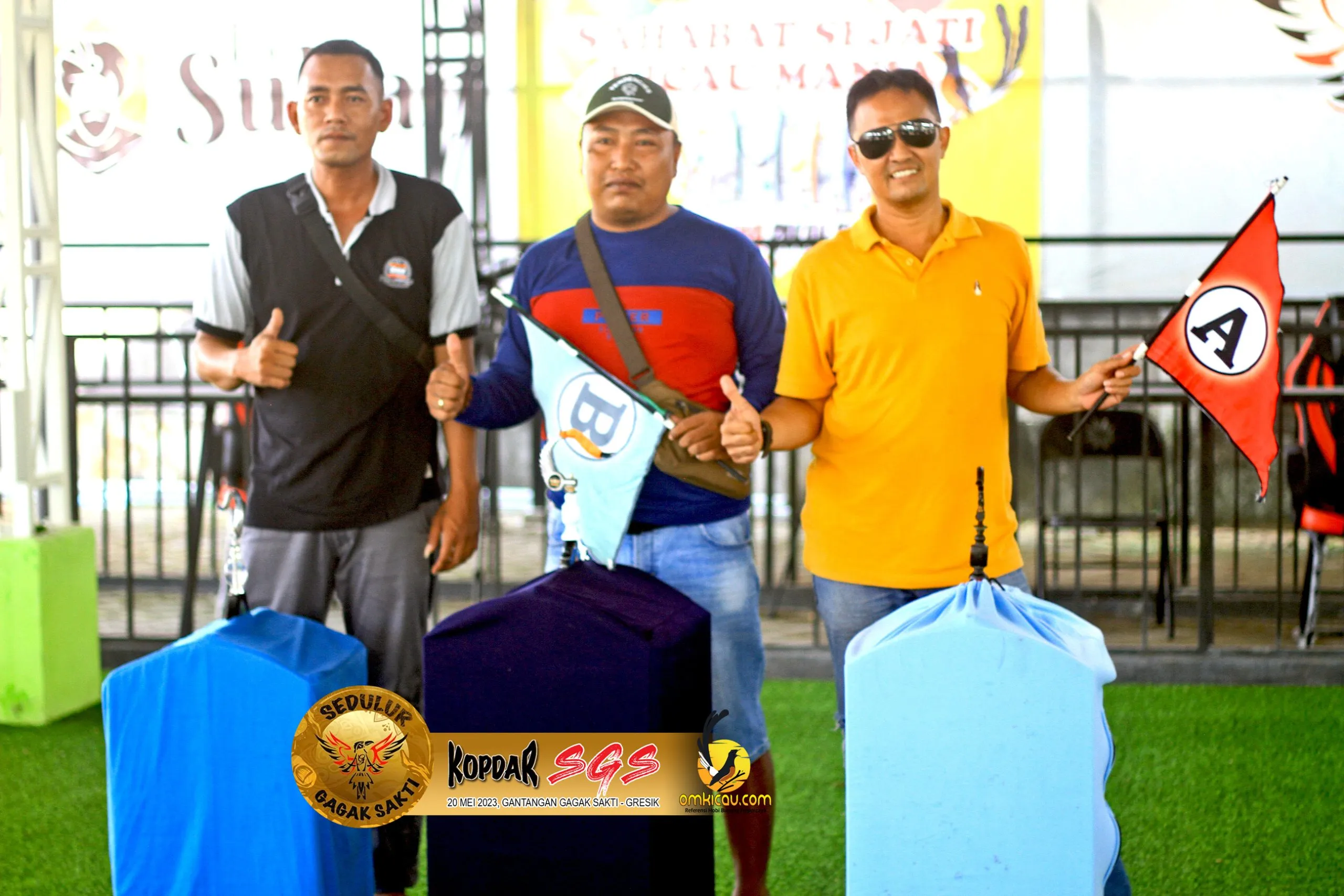Juara Cucak Hijau C Scaled