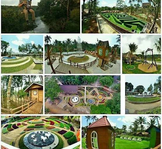 Images 6