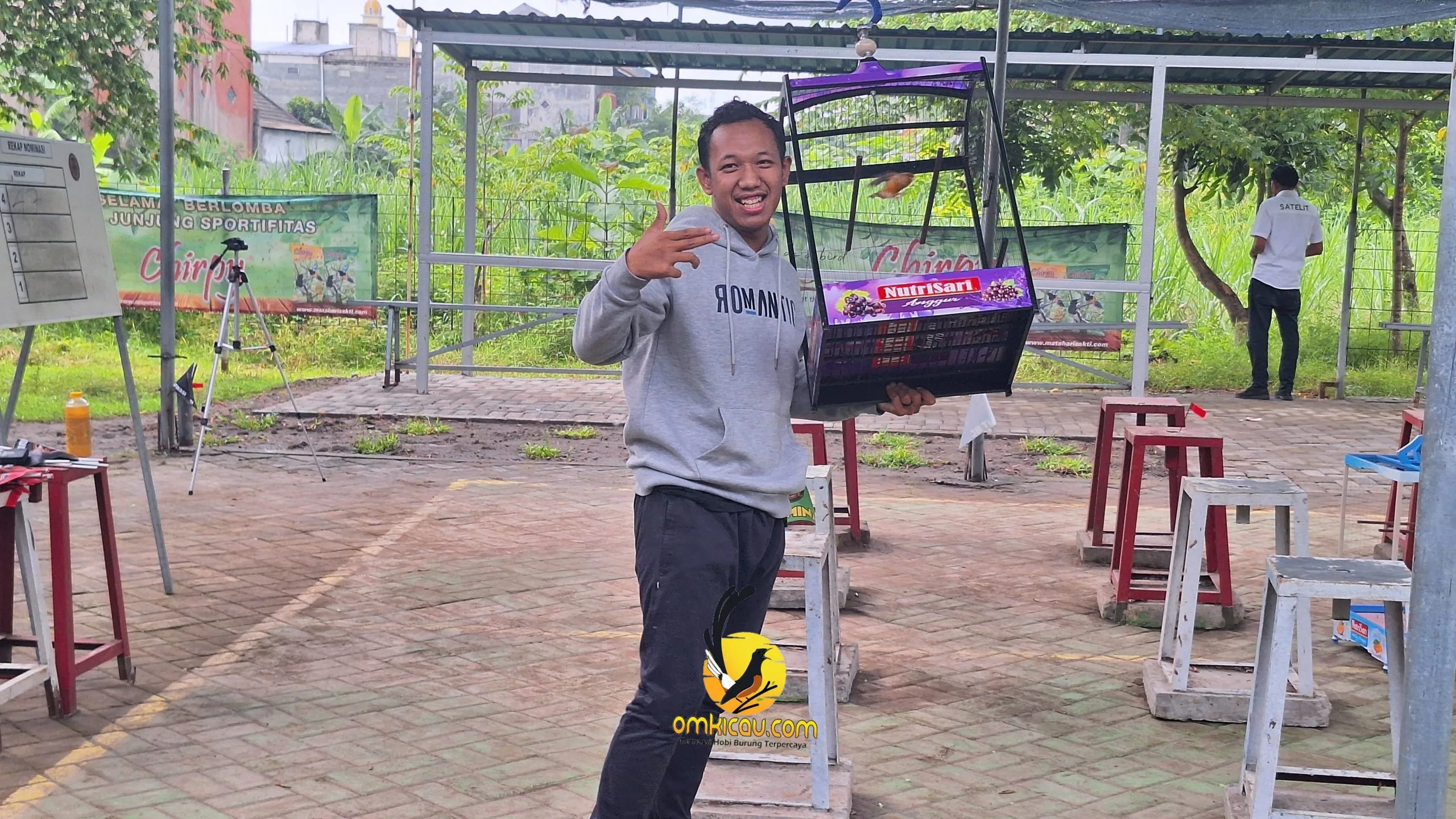 Juara Kenari A Scaled